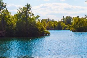 Plan-d-eau-de-la-Ballastiere