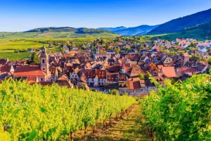 riquewihr-route-des-vins-alsace