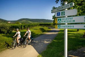 veloroute-du-vignoble-alsace-a-velo-1-1600x900
