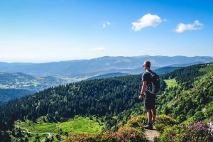 vosges