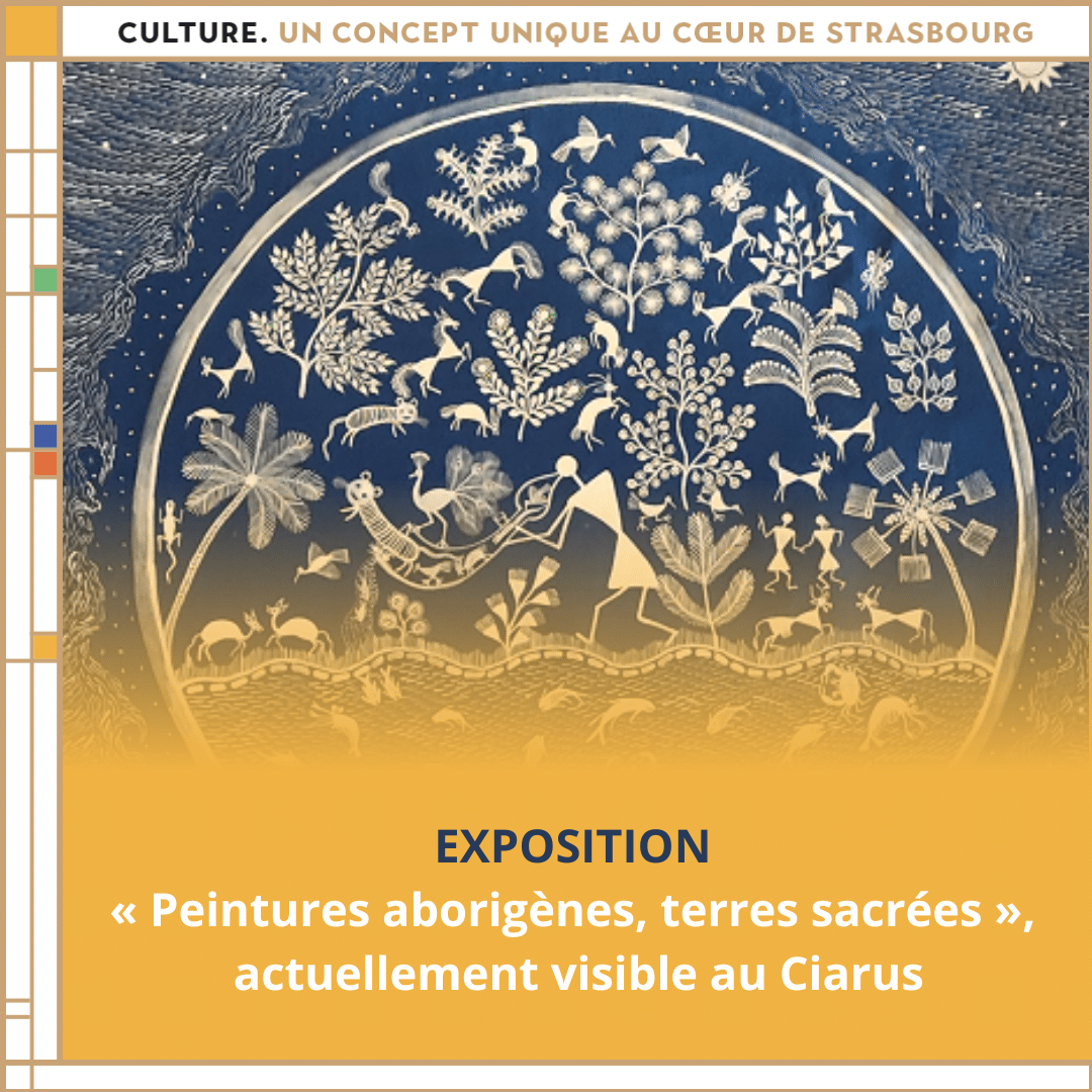 Ajouter un titre (4) dans VERNISSAGE  « Peintures aborigènes, terres sacrées »